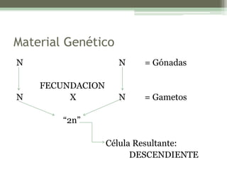 Material Genético
N N = Gónadas
FECUNDACION
N X N = Gametos
“2n”
Célula Resultante:
DESCENDIENTE
 