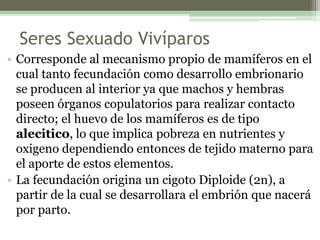 Seres Sexuado Vivíparos
• Corresponde al mecanismo propio de mamíferos en el
cual tanto fecundación como desarrollo embrionario
se producen al interior ya que machos y hembras
poseen órganos copulatorios para realizar contacto
directo; el huevo de los mamíferos es de tipo
alecitico, lo que implica pobreza en nutrientes y
oxigeno dependiendo entonces de tejido materno para
el aporte de estos elementos.
• La fecundación origina un cigoto Diploide (2n), a
partir de la cual se desarrollara el embrión que nacerá
por parto.
 