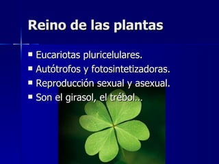 Reino de las plantas Eucariotas pluricelulares. Autótrofos y fotosintetizadoras. Reproducción sexual y asexual. Son el girasol, el trébol… 