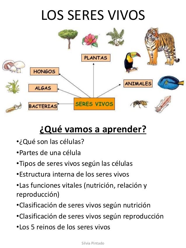Seres Vivos