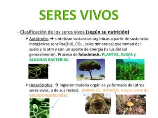 <ul><ul><li>-  Clasificación de los seres vivos  (según su nutrición) </li></ul></ul><ul><ul><ul><li>Autótrofos     sinte...