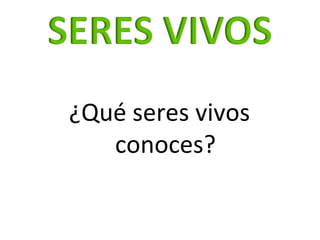 <ul><li>¿Qué seres vivos conoces? </li></ul>