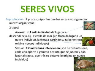 <ul><li>Reproducción    procesos (por los que los seres vivos)  generan nuevos organismos </li></ul><ul><li>2 tipos: </li...