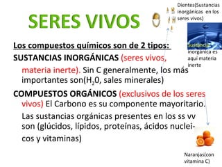 <ul><li>Los compuestos químicos son de 2 tipos:  </li></ul><ul><li>SUSTANCIAS INORGÁNICAS   (seres vivos,  </li></ul><ul><...