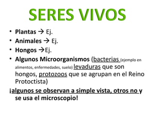 <ul><li>Plantas     Ej. </li></ul><ul><li>Animales     Ej. </li></ul><ul><li>Hongos   Ej.  </li></ul><ul><li>Algunos Mi...