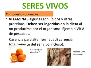 <ul><li>VITAMINAS  algunas son lípidos y otras proteínas.  Deben ser ingeridas en la dieta  al no producirse por el organi...