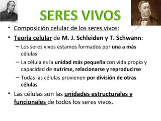 <ul><li>Composición celular de los seres vivos : </li></ul><ul><li>Teoría celular   de  M. J. Schleiden y T. Schwann : </l...