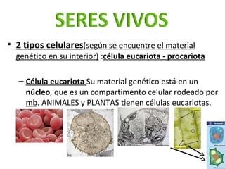 <ul><li>2 tipos celulares ( según se encuentre el material genético en su interior)  : célula eucariota - procariota </li>...