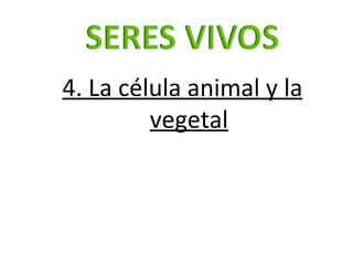 4. La célula animal y la vegetal 