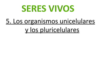 5. Los organismos unicelulares y los pluricelulares 
