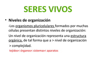<ul><li>Niveles de organización </li></ul><ul><li>-Los  organismos pluricelulares  formados por muchas  células presentan ...