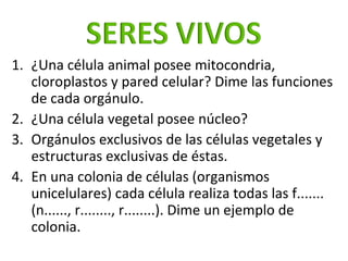 <ul><li>¿Una célula animal posee mitocondria, cloroplastos y pared celular? Dime las funciones de cada orgánulo. </li></ul...