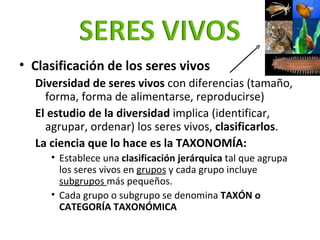 <ul><li>Clasificación de los seres vivos   </li></ul><ul><ul><li>Diversidad de seres vivos  con diferencias (tamaño, forma...