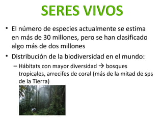 <ul><li>El número de especies actualmente se estima en más de 30 millones, pero se han clasificado algo más de dos millone...
