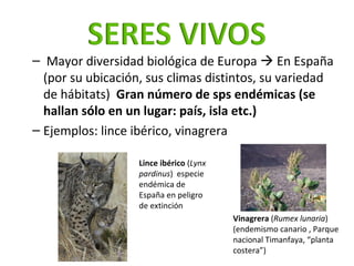 <ul><ul><li>Mayor diversidad biológica de Europa    En España (por su ubicación, sus climas distintos, su variedad de háb...