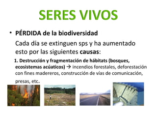 <ul><li>PÉRDIDA de la biodiversidad  </li></ul><ul><li>Cada día se extinguen sps y ha aumentado esto por las siguientes  c...