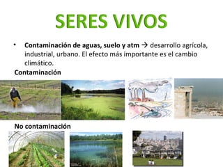 <ul><ul><ul><li>Contaminación de aguas, suelo y atm    desarrollo agrícola, industrial, urbano. El efecto más importante ...