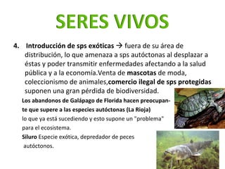 <ul><ul><ul><li>4.  Introducción de sps exóticas    fuera de su área de distribución, lo que amenaza a sps autóctonas al ...