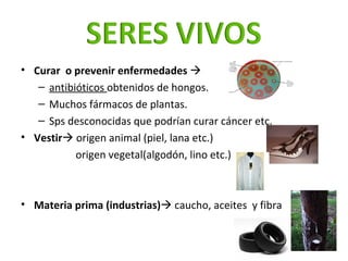 <ul><li>Curar  o prevenir enfermedades     </li></ul><ul><ul><li>antibióticos  obtenidos de hongos.  </li></ul></ul><ul><...