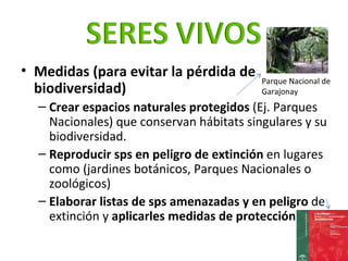 <ul><li>Medidas (para evitar la pérdida de biodiversidad) </li></ul><ul><ul><li>Crear   espacios naturales protegidos  (Ej...