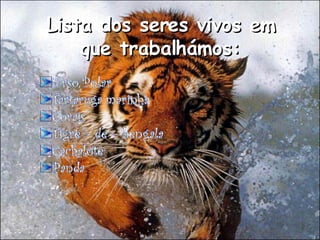 Lista dos seres vivos em que trabalhámos: 