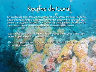 Recifes de Coral Os recifes de coral crescem na região fótica de mares tropicais, de forte acção de ondas, forte o suficiente para manter disponível na coluna d´água alimento e oxigénio dissolvido. Os recifes de coral também dependem de águas rasas, limpas, mornas e pobres em nutrientes para crescer.  Nos recifes de corais, habitam também outros seres vivos como, por exemplo, peixes tropicais (peixe - palhaço). Devido à poluição dos mares, os grandes recifes de corais estão cada vez mais escassos, secos, e sem vida. 