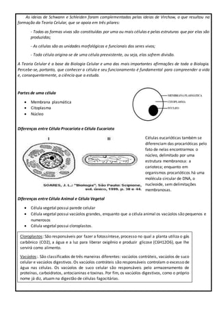 As ideias de Schwann e Schleiden foram complementadas pelas ideias de Virchow, o que resultou na
formação da Teoria Celular, que se apoia em três pilares:
- Todas as formas vivas são constituídas por uma ou mais células e pelas estruturas que por elas são
produzidas;
- As células são as unidades morfológicas e funcionais dos seres vivos;
- Toda célula origina-se de uma célula preexistente, ou seja, elas sofrem divisão.
A Teoria Celular é a base da Biologia Celular e uma das mais importantes afirmações de toda a Biologia.
Percebe-se, portanto, que conhecer a célula e seu funcionamento é fundamental para compreender a vida
e, consequentemente, a ciência que a estuda.
Partes de uma célula
 Membrana plasmática
 Citoplasma
 Núcleo
Diferenças entre Célula Procariota e Célula Eucariota
Células eucarióticas também se
diferenciam das procarióticas pelo
fato de nelas encontrarmos o
núcleo, delimitado por uma
estrutura membranosa: a
carioteca; enquanto em
organismos procarióticos há uma
molécula circular de DNA, o
nucleoide, sem delimitações
membranosas.
Diferenças entre Célula Animal e Célula Vegetal
 Célula vegetal possui parede celular
 Célula vegetal possui vacúolos grandes, enquanto que a célula animal os vacúolos são pequenos e
numerosos
 Célula vegetal possui cloroplastos.
Cloroplastos: São responsáveis por fazer a fotossíntese, processo no qual a planta utiliza o gás
carbônico (CO2), a água e a luz para liberar oxigênio e produzir glicose (C6H12O6), que lhe
servirá como alimento.
Vacúolos:. São classificados de três maneiras diferentes: vacúolos contráteis, vacúolos de suco
celular e vacúolos digestivos. Os vacúolos contráteis são responsáveis controlam o excesso de
água nas células. Os vacúolos de suco celular são responsáveis pelo armazenamento de
proteínas, carboidratos, antocianinas e toxinas. Por fim, os vacúolos digestivos, como o próprio
nome já diz, atuam na digestão de células fagocitárias.
 
