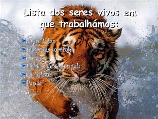 Lista dos seres vivos em que trabalhámos: 