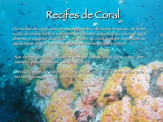 Recifes de Coral Os recifes de coral crescem na região fótica de mares tropicais, de forte acção de ondas, forte o suficiente para manter disponível na coluna d´água alimento e oxigénio dissolvido. Os recifes de coral também dependem de águas rasas, limpas, mornas e pobres em nutrientes para crescer.  Nos recifes de corais, habitam também outros seres vivos como, por exemplo, peixes tropicais (peixe - palhaço). Devido à poluição dos mares, os grandes recifes de corais estão cada vez mais escassos, secos, e sem vida. 