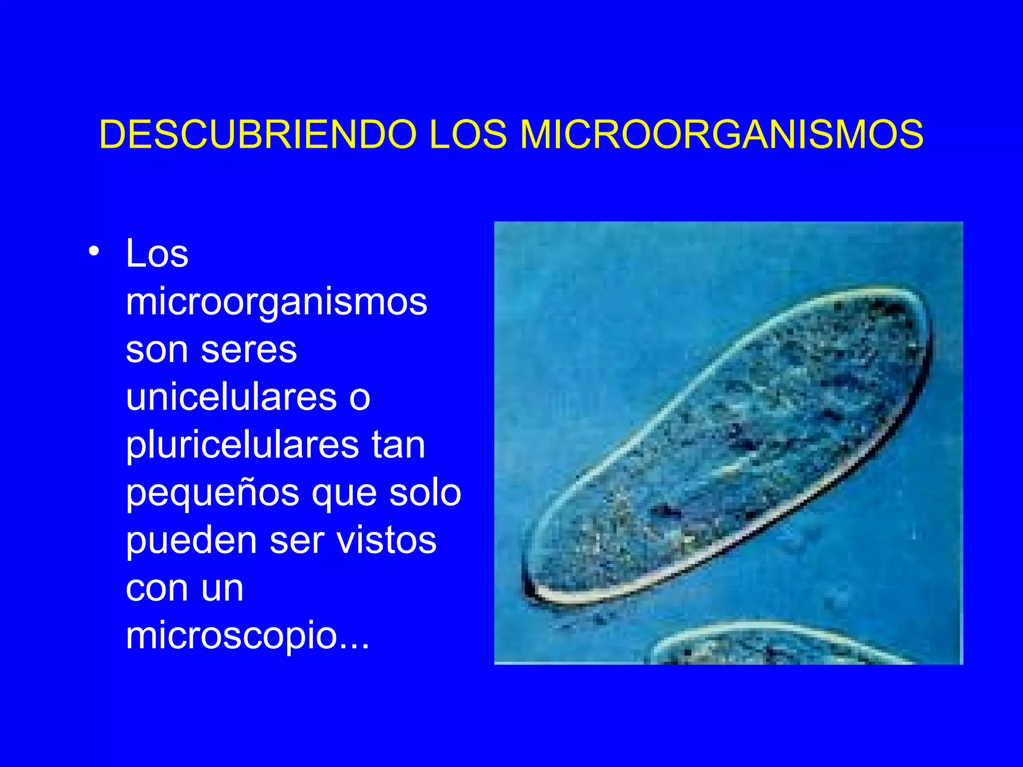 Seres vivos microscópicos | PPT