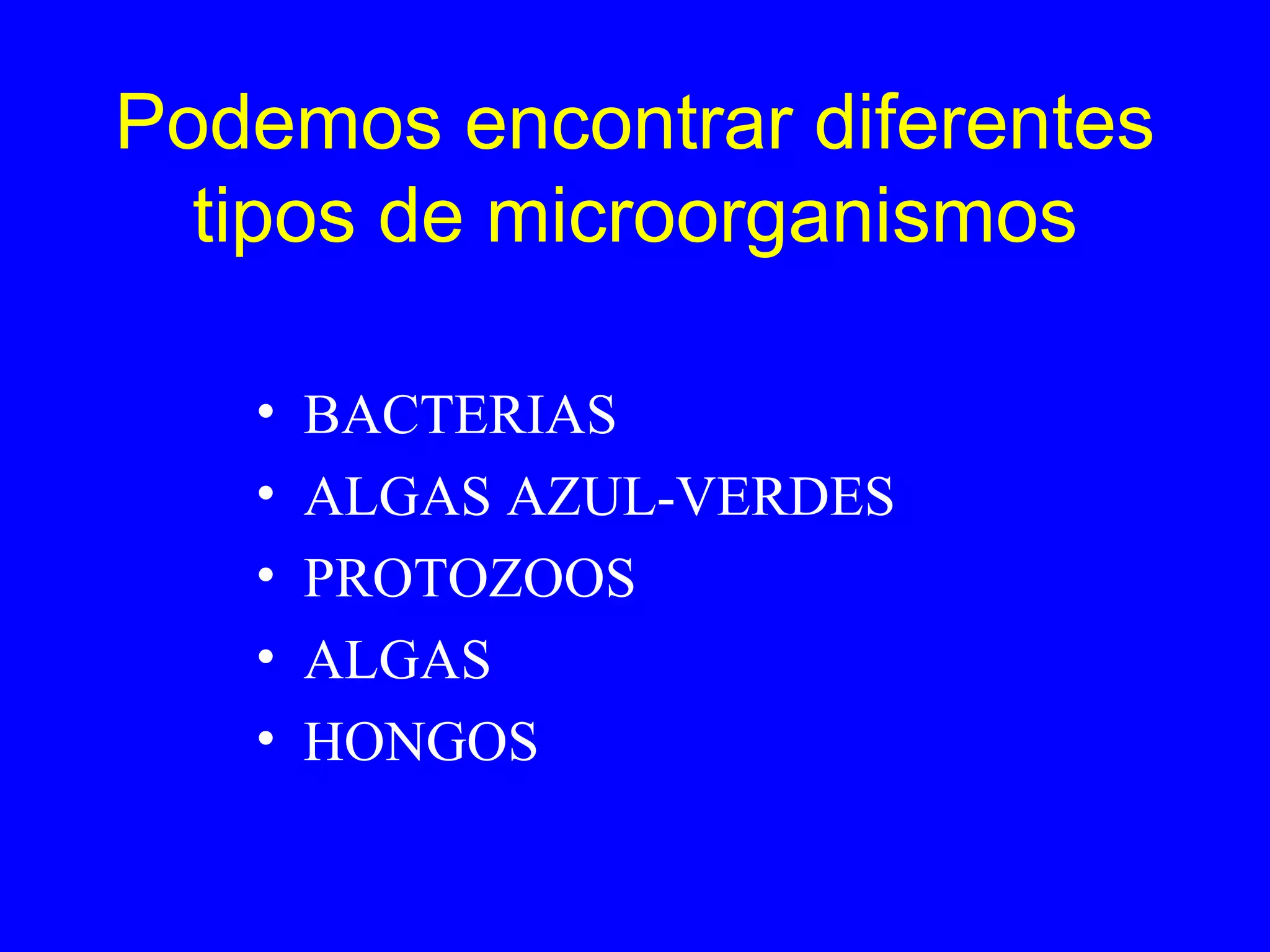 Seres vivos microscópicos | PPT
