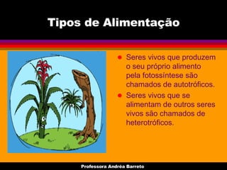 Seres vivos | PPT