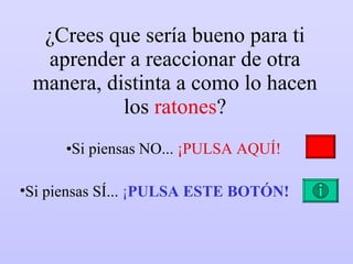 ¿Crees que sería bueno para ti aprender a reaccionar de otra manera, distinta a como lo hacen los  ratones ? Si piensas NO...  ¡PULSA AQUÍ! Si piensas SÍ...  ¡ PULSA ESTE BOTÓN! 