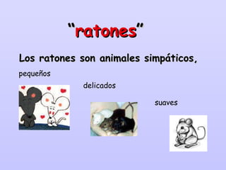 “ ratones ”   Los ratones son animales simpáticos, pequeños delicados suaves 
