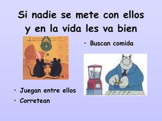 Si nadie se mete con ellos y en la vida les va bien Juegan entre ellos Corretean Buscan comida 