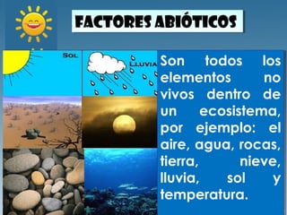 Factores abióticosFactores abióticos
Son todos los
elementos no
vivos dentro de
un ecosistema,
por ejemplo: el
aire, agua, rocas,
tierra, nieve,
lluvia, sol y
temperatura.
Son todos los
elementos no
vivos dentro de
un ecosistema,
por ejemplo: el
aire, agua, rocas,
tierra, nieve,
lluvia, sol y
temperatura.
 