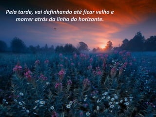 Pela tarde, vai definhando até ficar velho e
    morrer atrás da linha do horizonte.
 