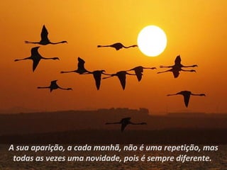 A sua aparição, a cada manhã, não é uma repetição, mas
 todas as vezes uma novidade, pois é sempre diferente.
 