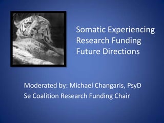Somatic Experiencing
Research Funding
Future Directions
Moderated by: Michael Changaris, PsyD
Se Coalition Research Funding Chair
 