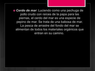  Cerdo de mar: Luciendo como una pechuga de
pollo crudo con raíces de la papa para las
piernas, el cerdo del mar es una especie de
pepino de mar. Se trata de una babosa de mar.
La pesca de arrastre del fondo del mar se
alimentan de todos los materiales orgánicos que
entran en su camino.
 