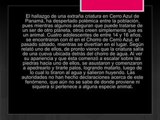 El hallazgo de una extraña criatura en Cerro Azul de
Panamá, ha despertado polémica entre la población,
pues mientras algunos aseguran que puede tratarse de
un ser de otro planeta, otros creen simplemente que es
un animal. Cuatro adolescentes de entre 14 y 16 años,
se encontraron con él en el Chorro de Cerro Azul, el
pasado sábado, mientras se divertían en el lugar. Según
relató uno de ellos, de pronto vieron que la criatura salía
de una cueva ubicada detrás del chorro de agua. Al ver
su apariencia y que ésta comenzó a escalar sobre las
piedras hacia uno de ellos, se asustaron y comenzaron
a apedrearlo y tirarle palos, logrando matarlo, luego de
lo cual lo tiraron al agua y salieron huyendo. Las
autoridades no han hecho declaraciones acerca de este
fenómeno, que aún no se sabe de donde proviene ni
siquiera si pertenece a alguna especie animal.
 