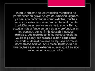 Aunque algunas de las especies mundiales de
permanecer en grave peligro de extinción, algunos
ya han sido confirmadas como extintas, muchas
nuevas especies se encuentran en todo el mundo.
Los biólogos arrastran los desiertos de la Tierra,
estudiar más a fondo en las selvas y profundizar en
los océanos con el fin de descubrir nuevos
animales. Los resultados de su perseverancia ha
valido la pena y sus resultados han dado como
resultado el descubrimiento de algunos animales
asombrosos bonitos. Aquí están la mayoría del
mundo, las especies extrañas nuevas que han sido
recientemente encontrados.
 