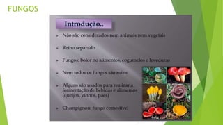 FUNGOS
 