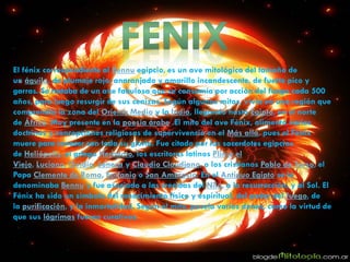 El fénix correspondiente al Bennu egipcio, es un ave mitológica del tamaño de
un águila, de plumaje rojo, anaranjado y amarillo incandescente, de fuerte pico y
garras. Se trataba de un ave fabulosa que se consumía por acción del fuego cada 500
años, para luego resurgir de sus cenizas. Según algunos mitos, vivía en una región que
comprendía la zona del Oriente Medio y la India, llegando hasta Egipto, en el norte
de África. Muy presente en la poesía árabe .El mito del ave Fénix, alimentó varias
doctrinas y concepciones religiosas de supervivencia en el Más allá, pues el Fénix
muere para renacer con toda su gloria. Fue citado por los sacerdotes egipcios
de Heliópolis, el griego Heródoto, los escritores latinos Plinio el
Viejo, Luciano, Ovidio, Séneca y Claudio Claudiano, o los cristianos Pablo de Tarso, el
Papa Clemente de Roma, Epifanio o San Ambrosio. En el Antiguo Egipto se le
denominaba Bennu y fue asociado a las crecidas del Nilo, a la resurrección, y al Sol. El
Fénix ha sido un símbolo del renacimiento físico y espiritual, del poder del fuego, de
la purificación, y la inmortalidad. Según el mito, poseía varios dones, como la virtud de
que sus lágrimas fueran curativas.
 