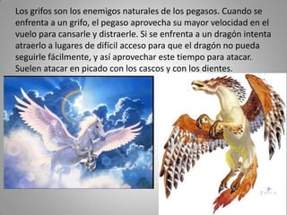 Los grifos son los enemigos naturales de los pegasos. Cuando se
enfrenta a un grifo, el pegaso aprovecha su mayor velocidad en el
vuelo para cansarle y distraerle. Si se enfrenta a un dragón intenta
atraerlo a lugares de difícil acceso para que el dragón no pueda
seguirle fácilmente, y así aprovechar este tiempo para atacar.
Suelen atacar en picado con los cascos y con los dientes.
 