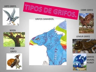 HIPO GRIFO.
                                    CEBRI GRIFO


              GRIFOS SAMARIOS.



    WYEN

                                 LEMUR GRIFO




     FOX
     GRIFO

                                         GRIFOS
                                         XAAVAL
                                         HUNOT
 