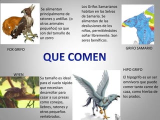 Los Grifos Samarianos
             Se alimentan
                                    habitan en las Selvas
            principalmente de
                                    de Samaria. Se
            ratones y ardillas (o
                                    alimentan de las
            otros animales
                                    desilusiones de los
            pequeños) ya que
                                    niños, permitiéndoles
            son del tamaño de
                                    soñar libremente. Son
            un zorro
                                    seres benéficos.

FOX GRIFO                                                    GRIFO SAMARIO




                                                            HIPO GRIFO
   WYEN
            Su tamaño es ideal                              El hipogrifo es un ser
            para el vuelo rápido                            omnívoro que puede
            que necesitan                                   comer tanto carne de
            desarrollar para                                caza, como hierba de
            cazar a sus presas                              los prados.
            como conejos,
            liebres, ratones y
            otros pequeños
            vertebrados.
 