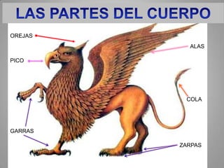 OREJAS
           ALAS

PICO




          COLA




GARRAS

         ZARPAS
 