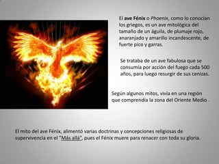 El ave Fénix o Phoenix, como lo conocían
                                               los griegos, es un ave mitológica del
                                               tamaño de un águila, de plumaje rojo,
                                               anaranjado y amarillo incandescente, de
                                               fuerte pico y garras.

                                               Se trataba de un ave fabulosa que se
                                               consumía por acción del fuego cada 500
                                               años, para luego resurgir de sus cenizas.


                                           Según algunos mitos, vivía en una región
                                           que comprendía la zona del Oriente Medio .




El mito del ave Fénix, alimentó varias doctrinas y concepciones religiosas de
supervivencia en el ”Más allá”, pues el Fénix muere para renacer con toda su gloria.
 