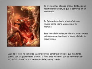 Se cree que fue el único animal del Edén que
                                     resistió la tentación, lo que le convirtió en un
                                     ser eterno.



                                     En Egipto simbolizaba al astro Sol, que
                                     muere por la noche y renace por la
                                     mañana.

                                     Este animal simboliza para las distintas culturas
                                     prácticamente lo mismo; la inmortalidad y la
                                     resurrección.




Cuando el fénix ha cumplido su periodo vital construye un nido, que más tarde
quema con un golpe de sus plumas. El fénix arde y una vez que se ha convertido
en cenizas renace de entre éstas un fénix joven y nuevo.
 
